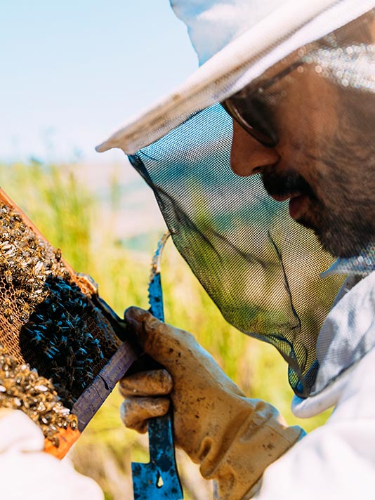 bienenfutter-aulendorf-bayern-baden-württemberg