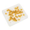 Silikonform Weiselnäpfchen für Königinnenzucht (42 Stück)