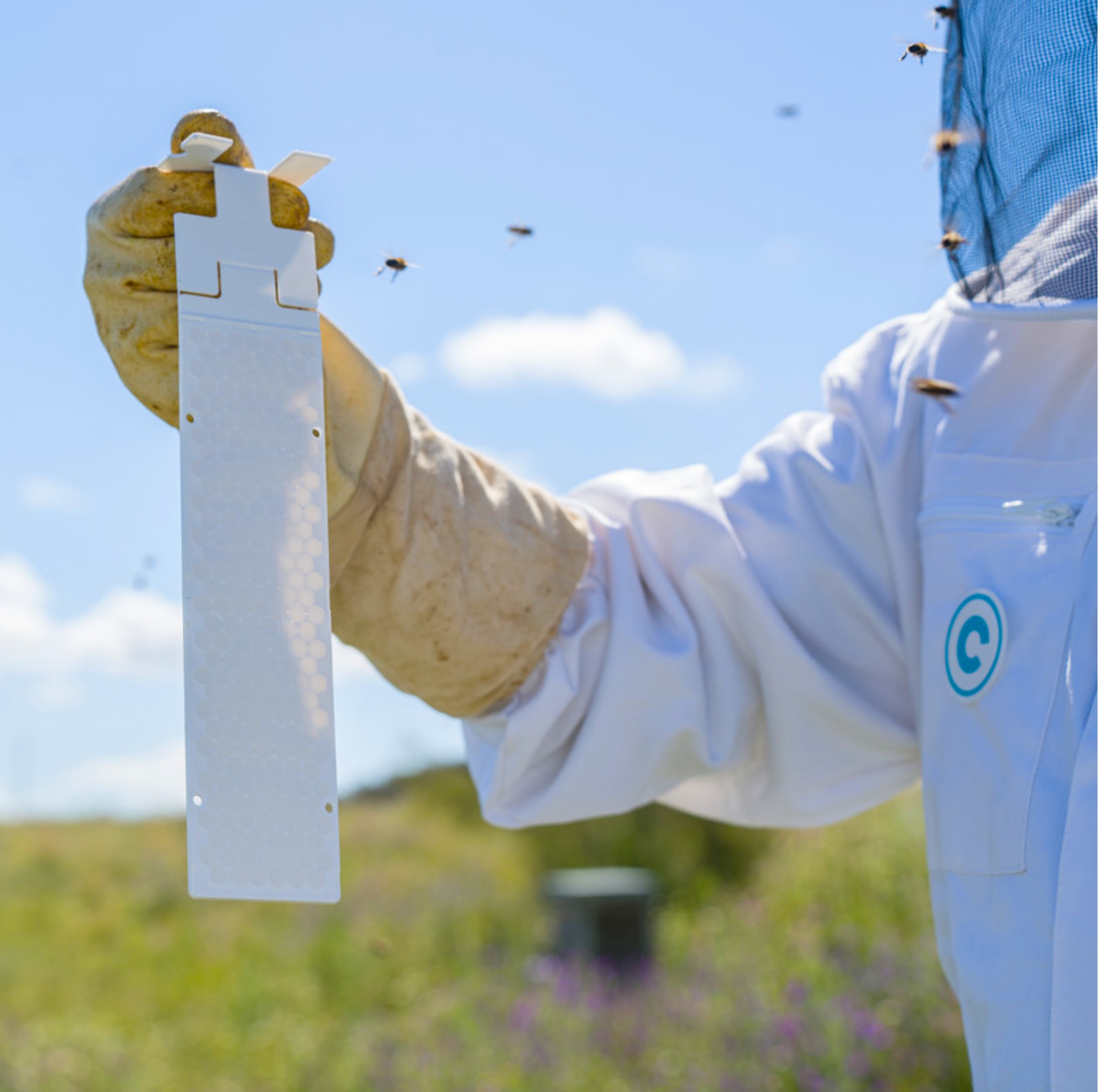 Calistrip® BIOX Oxalsäurestreifen sind die zeitsparende und zuverlässige Lösung zur Varroabehandlung bei Honigbienen. Die EU-weit zugelassenen Oxalsäurestreifen wirken temperaturunabhängig und eignen sich ideal für Sommerbehandlungen – mit oder ohne Brut. Ein Beutel enthält 10 Streifen für 5 Völker, Dosierung 2 Streifen pro Volk, Langzeitwirkung über 6 Wochen. Einfache Anwendung, 0 Tage Wartezeit für Honig, geeignet für konventionelle und Bio-Imkerei. Effektiv, sicher und praxisbewährt.