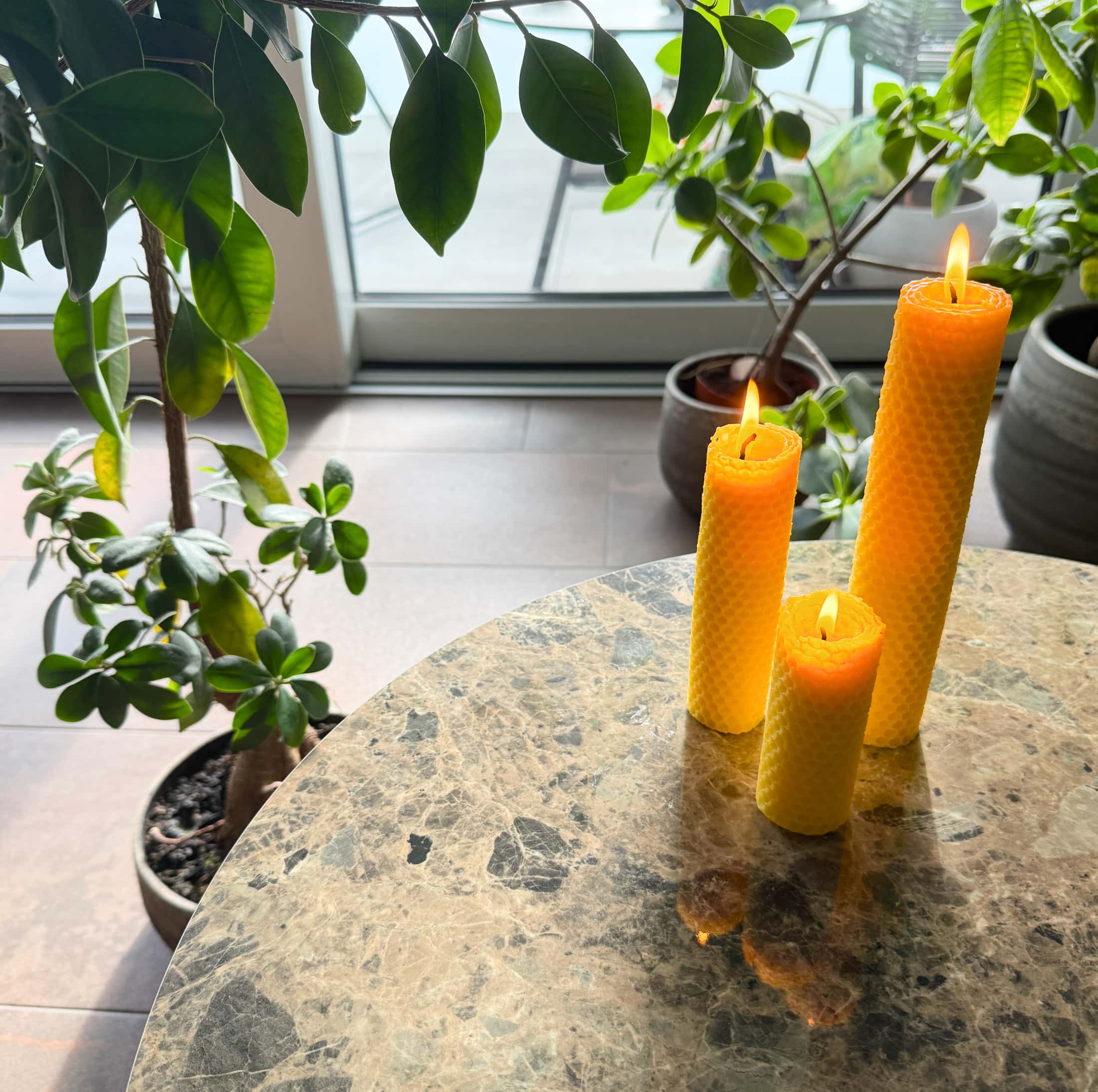 Stelle deine eigenen Bienenwachskerzen ganz einfach selbst her! Unser Bienenwachskerzen Bastelset enthält 1 kg reines Bienenwachs aus deutscher Produktion, 12 Wabenplatten (395 × 195 mm) und 3 m Docht – genug für 12 – 24 natürliche Kerzen. Nachhaltig, duftend und perfekt für kreative DIY-Projekte oder als Geschenkidee.