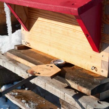 Der VARROX Verdampfer ermöglicht eine effektive und schonende Varroa-Behandlung mit Oxalsäure. Hohe Wirksamkeit bis zu 96 %, einfache Anwendung mit 12V Batterie, robuste Qualität und ideal für ein nachhaltiges Varroa-Management – empfohlen mit Varroxal.